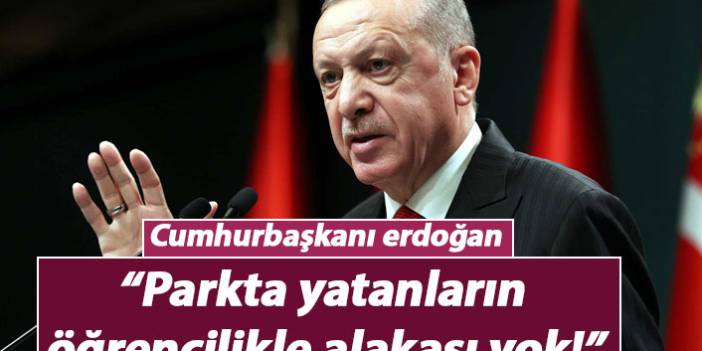 Cumhurbaşkanı Erdoğan: Parkta yatanların öğrencilikle alakası yok!
