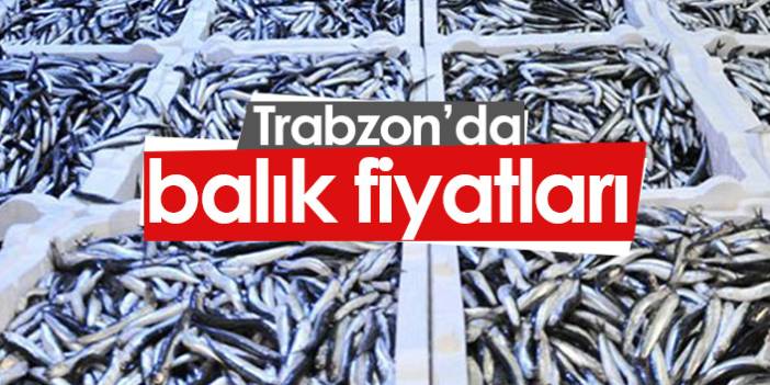 Trabzon balık halinde hamsinin kilogramı 25-30 liradan satılıyor.30 Eylül 2021