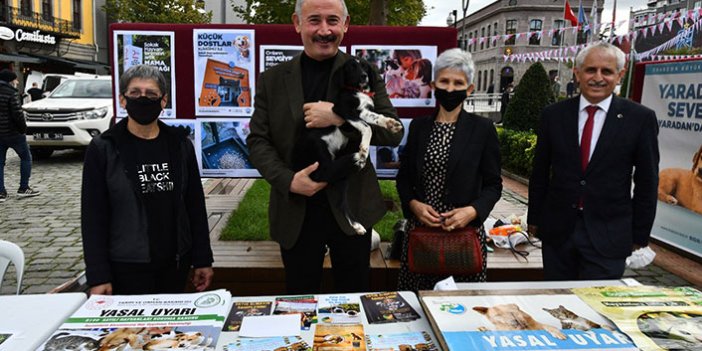 Trabzon'da Dünya Hayvanları Koruma Günü kutlandı