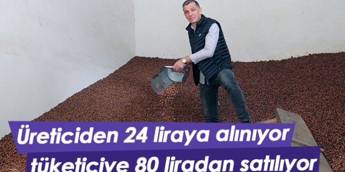 Üreticiden 24 liraya alınan fındık rafta 80 lira