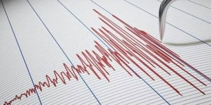 Japonya'da 6 şiddetinde depremle sallandı