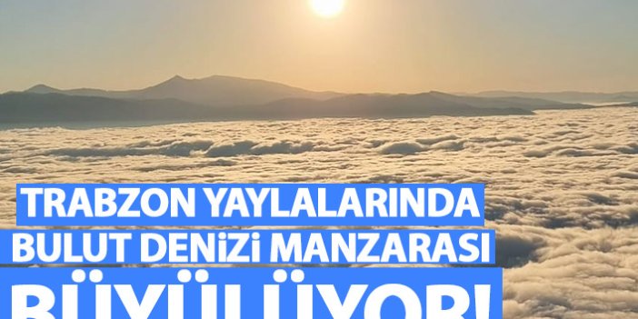 Trabzon yaylalarında bulut denizi manzaraları