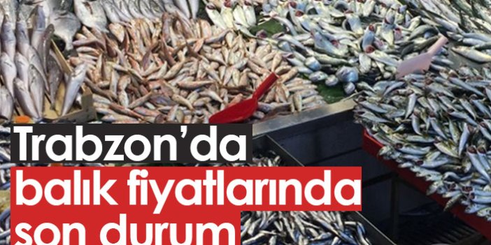 Trabzon'da balık fiyatları nasıl? 13.10.2021