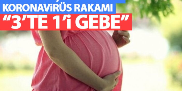 Trabzon için korkutan koronavirüs rakamı! 3'te 1'ni gebeler oluşturuyor