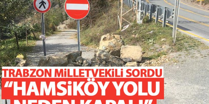 Ahmet Kaya: Hamsiköy yolu neden kapalı?