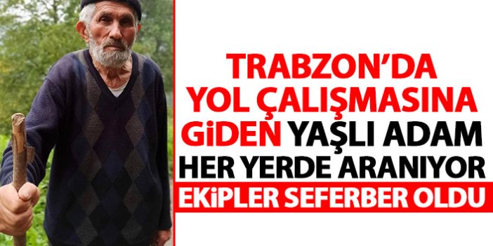 Trabzon'da yol çalışmasına bakmaya gitti; kayıp olarak aranıyor 