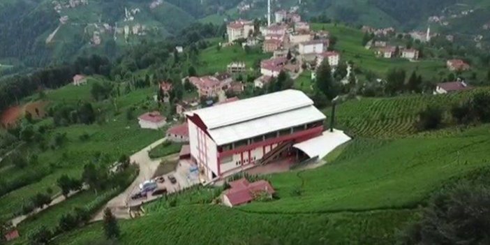 24 yaşında köyüne çay fabrikası kurdu