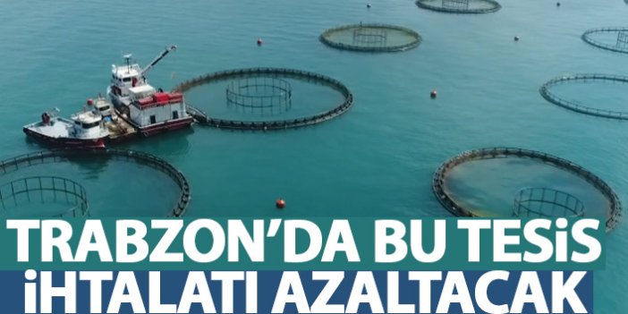 Trabzon'da kurulacak bu tesis ithalatı azaltacak