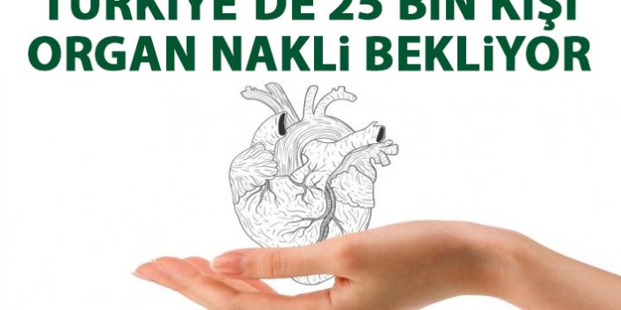 Türkiye’de 25 bin kişi organ bekliyor