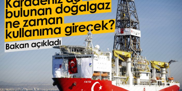 Karadeniz'de bulunan doğalgaz ne zaman kullanıma girecek?