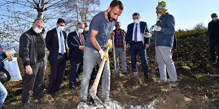 Trabzon'da örnek fındık bahçesi Akyazı’da hayata geçti