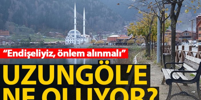Trabzon'un turizm cennetinde balık ölümleri tedirgin etti
