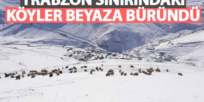 Trabzon sınırındaki köyler beyaza büründü