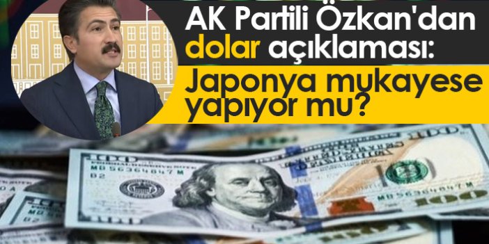 AK Partili Özkan'dan dolar açıklaması: Japonya bir mukayese yapıyor mu?