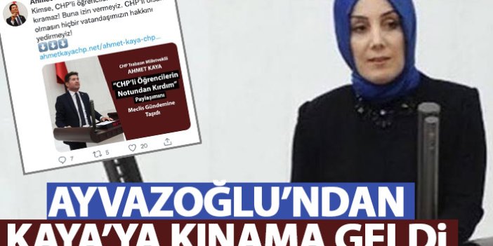 Bahar Ayvazoğlu'ndan Ahmet Kaya'ya kınama: Acınası hallerine hepimiz şahit oldu