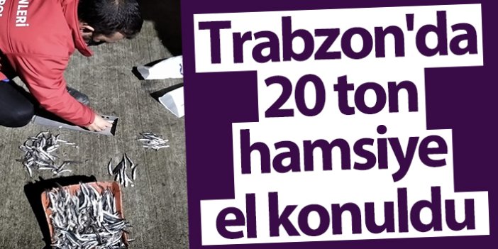 Trabzon'da 20 ton hamsiye el konuldu