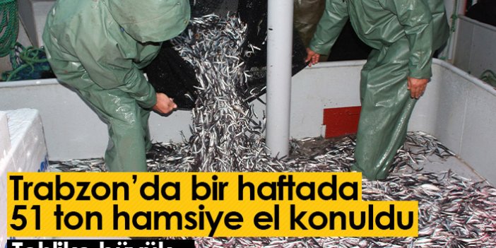 Trabzon'da bir haftada 51 ton hamsiye el konuldu! Tehlike büyük...