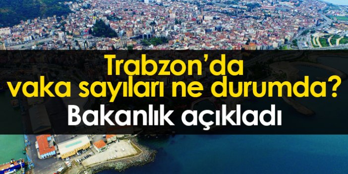 Trabzon'da vakaları sayıları nasıl? Harita açıklandı