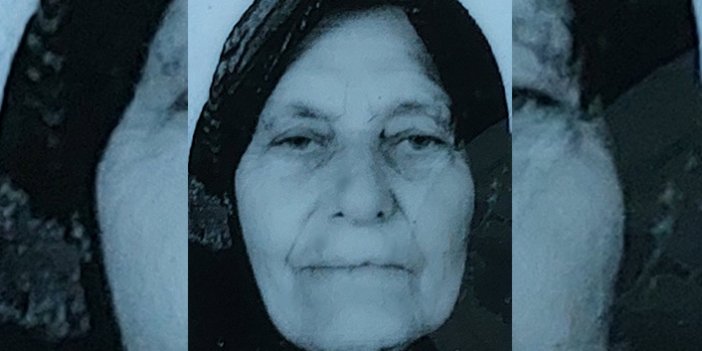 Ekmek aracının çarptığı yaşlı kadın hayatını kaybetti