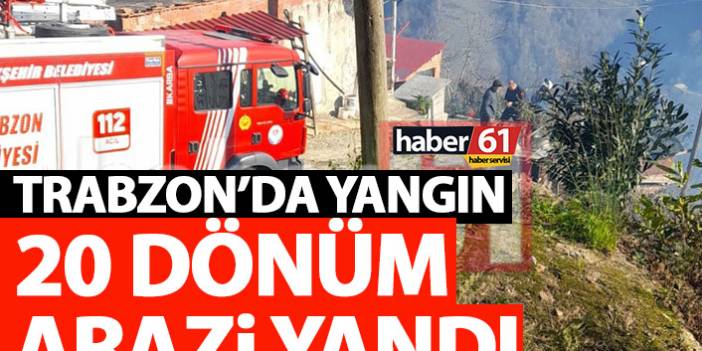 Trabzon’da korkutan yangın! 20 dönüm arazide ne varsa yandı