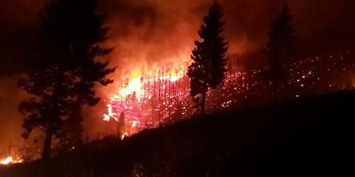 Trabzon'da örtü ve orman yangını uyarısı