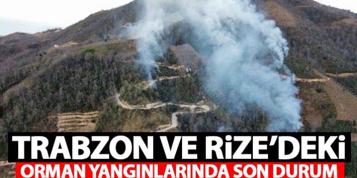 Trabzon ve Rize'deki orman yangınlarında son durum