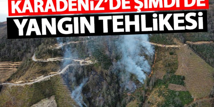 Karadeniz'de şimdi de yangın tehlikesi