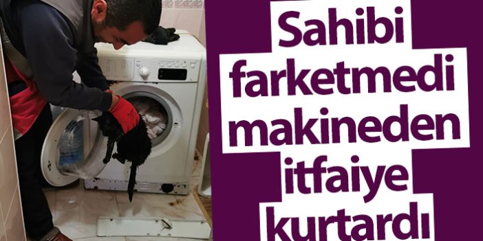 Artvin'de yorganın içinde giren kediyi farketmeden çamaşır makinesine attı