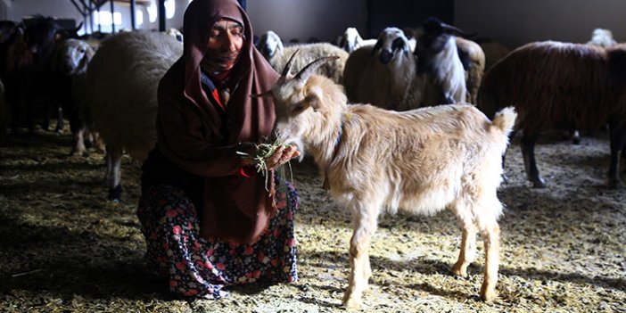 Gümüşhaneli kadınlar bileziklerini bozdurup hayvancılığa yatırım yaptı