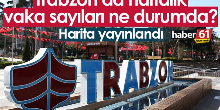 Trabzon'da koronavirüs vakalarında son durum ne? İşte haftalık vakalar...