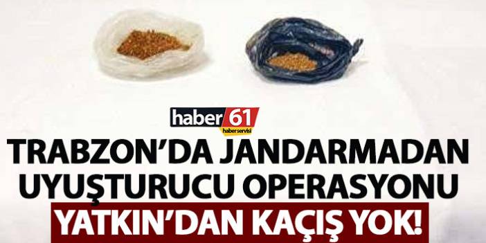 Trabzon’da Jandarmadan uyuşturucu operasyonu - 29 Aralık 2021