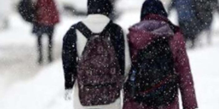Giresun'da 3 ilçede okullara kar tatili