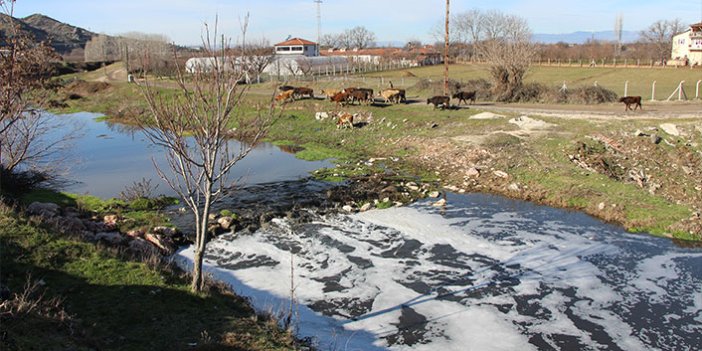 Türkiye'nin tersine akan tek akarsuyu olan 'Tersakan Çayı' kirlilikten köpürdü