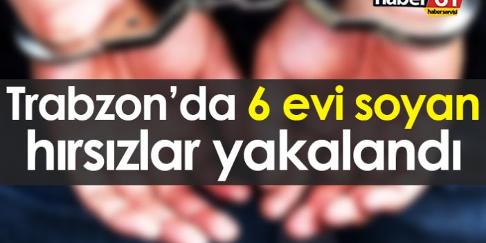 Trabzon'da 6 evi soyan hırsızlar yakalandı