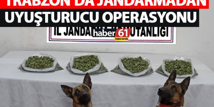 Jandarma Trabzon’da uyuşturucuya geçit vermedi!