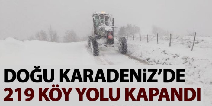 Doğu Karadeniz'de 219 köy yolu kardan kapandı