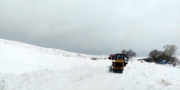 Tercan’da kardan kapalı köy ve mezra yolları açıldı