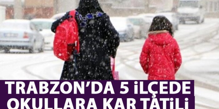 Trabzon'un 5 ilçesinde okullara kar tatili!