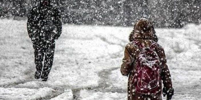 Rize'de bazı ilçelerde kar tatili uzatıldı