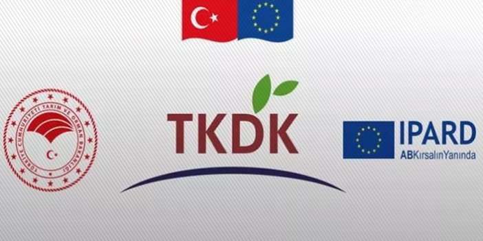 TKDK  7 sektörde 40 milyon avro hibe dağıtacak