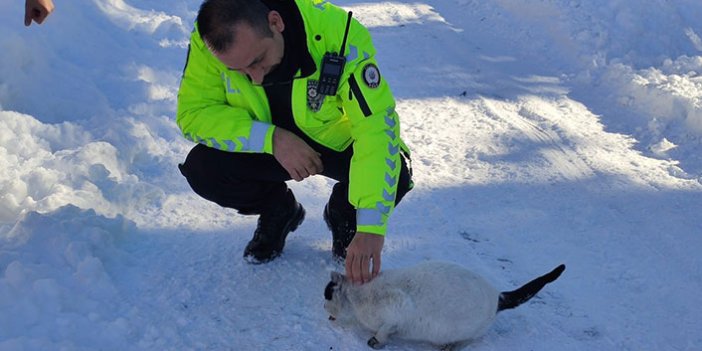 Elazığ polisi sokak hayvanlarını unutmadı