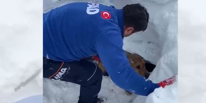 Enkaz altında kalan köpeği AFAD ekipleri kurtardı