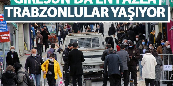 Giresun'da en fazla Trabzonlular yaşıyor