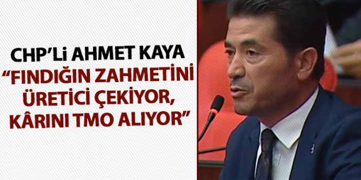 CHP'li Ahmet Kaya "Fındığın zahmetini üretici çekiyor, kârını TMO alıyor"