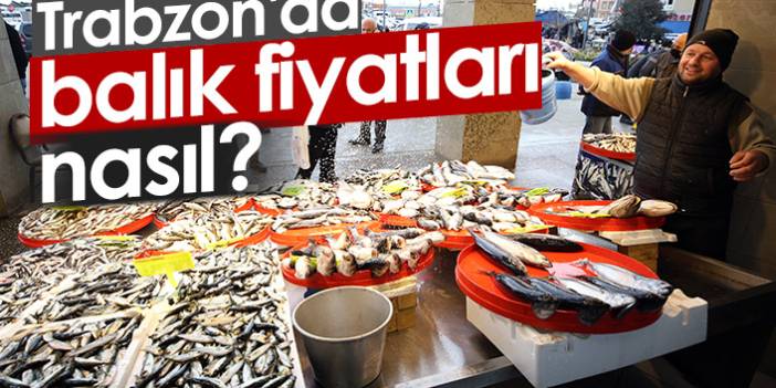 Trabzon'da, tezgahlarda artan balık çeşitliliği fiyatlara da yansıdı. 3 Mart 2022