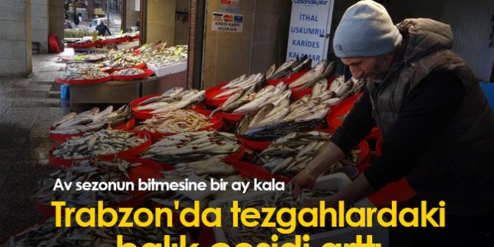 Trabzon'da tezgahlardaki balık çeşidi arttı