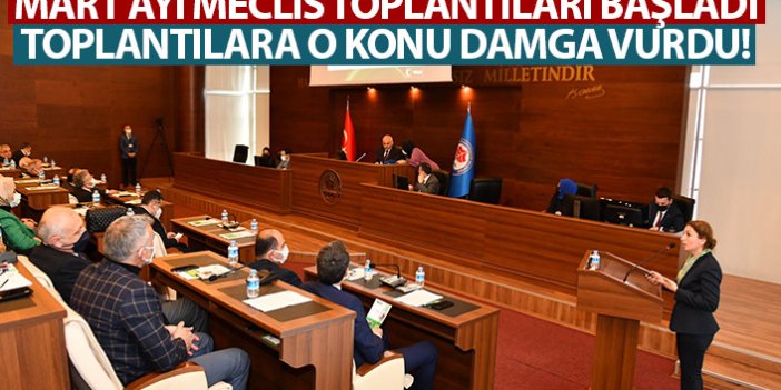 Büyükşehir Belediye meclisi mart ayı ilk toplantısı yapıldı