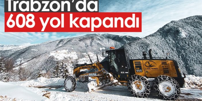 Trabzon'da 608 yol kar nedeniyle kapandı