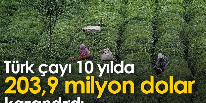 Türk çayından 10 yılda 203,9 milyon dolar gelir
