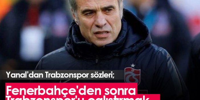 Ersun Yanal'dan Trabzonspor sözleri: Fenerbahçe'den sonra Trabzonspor'u çalıştırmak...